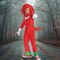 Kids Deluxe Sonic the Hedgehog Knuckles Echidna Halloween Costume